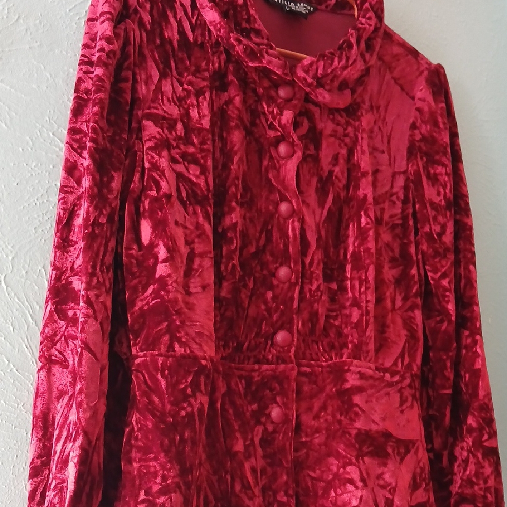 Antilia Femme Rich Red Velvet Top